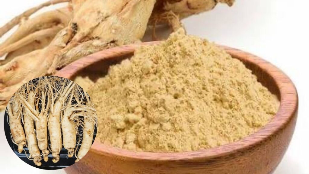 Panax Ginseng