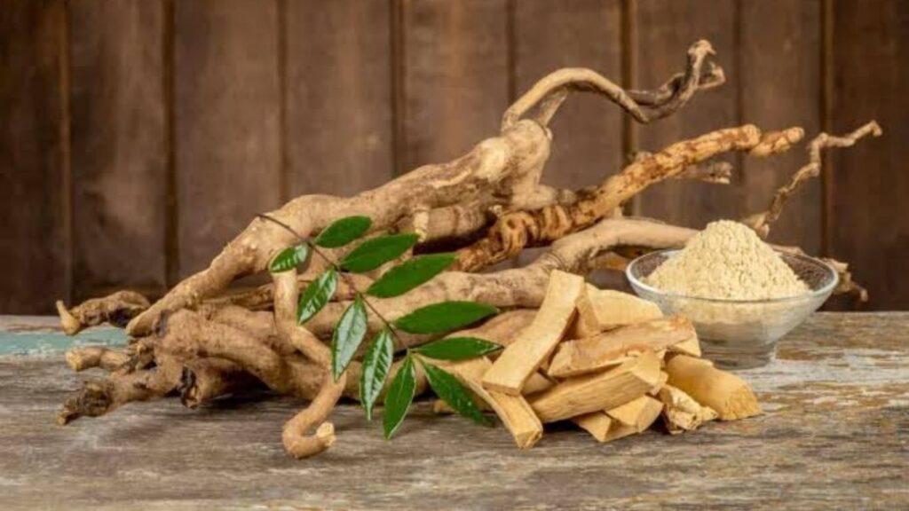 Tongkat Ali (Eurycoma longifolia)