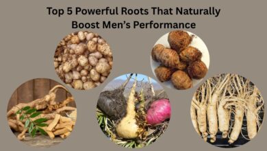 Top 5 Powerful Roots That Naturally Boost Men’s Performance