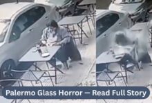 Palermo Glass Horror