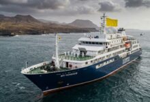 Hantavirus Outbreak on Cruise Ship