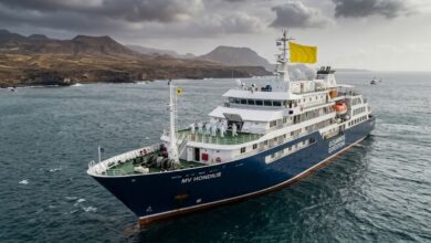 Hantavirus Outbreak on Cruise Ship